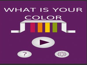 What is your color - Online Color Guessing Puzzle Game