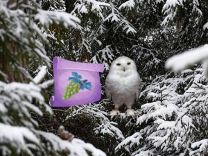 Winter Wonderland Forest Adventure Online Game