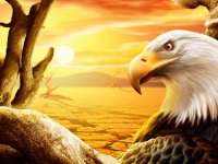 Eagle Slide Puzzle Game - Slide Puzzle
