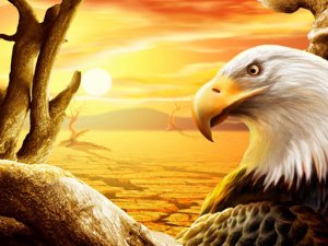 Eagle Slide Puzzle Game - Slide Puzzle