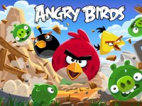 Angry Bird Jungle Online Game