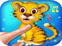Animal Toush Panda Online Game