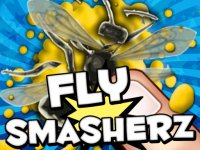 Fly SmasherZ Online Game