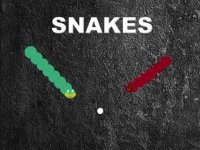 Snakes Online Game