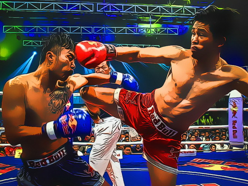Fighters Jigsaw Puzzle Game