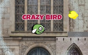 Crazy Bird City: Fly & Collect Adventure Online Game
