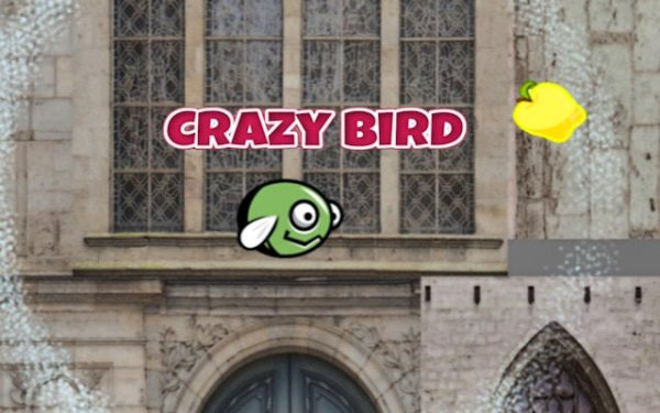 Crazy Bird City: Fly & Collect Adventure Online Game