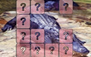 Crocodile Memory Match Online Puzzle Game - Sliding Puzzle Game