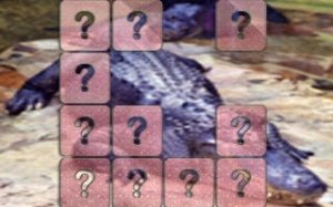 Tile Sliding Puzzle Challenge