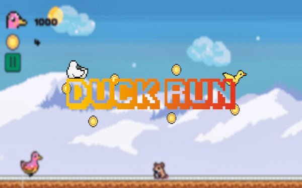 Duck Run - Online Duck Adventure Game