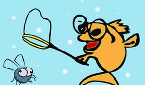 Current Catch: Goldfish Runner